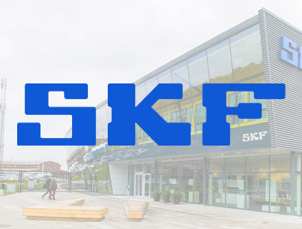 SKF Bearings