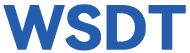  WSDT Bearing  